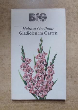 Geelhaar, Helmut  Gladiolen im Garten. 