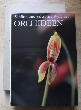 Ebel, Friedrich  Schöne und seltsame Welt der Orchideen. 