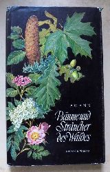 Amann, Gottfried  Bume und Strucher des Waldes - Taschenbildbuch der Nadeln und Bltter, Blten, Frchte und Samen, Zweige im Winterzustand und Keimlinge der beachtenswertesten Bume und Strucher des mitteleuropischen Waldes. 