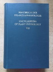 Ruhland, W.  Handbuch der Pflanzenphysiologie - Der Stickstoffumsatz. Deutsch - Englisch. 