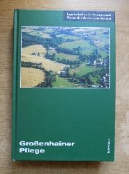 Hanspach, Dietrich (Hrg.) und Haik Thomas (Hrg.) Porada  Grossenhainer Pflege - Eine landeskundliche Bestandsaufnahme im Raum Groenhain und Radeburg. 