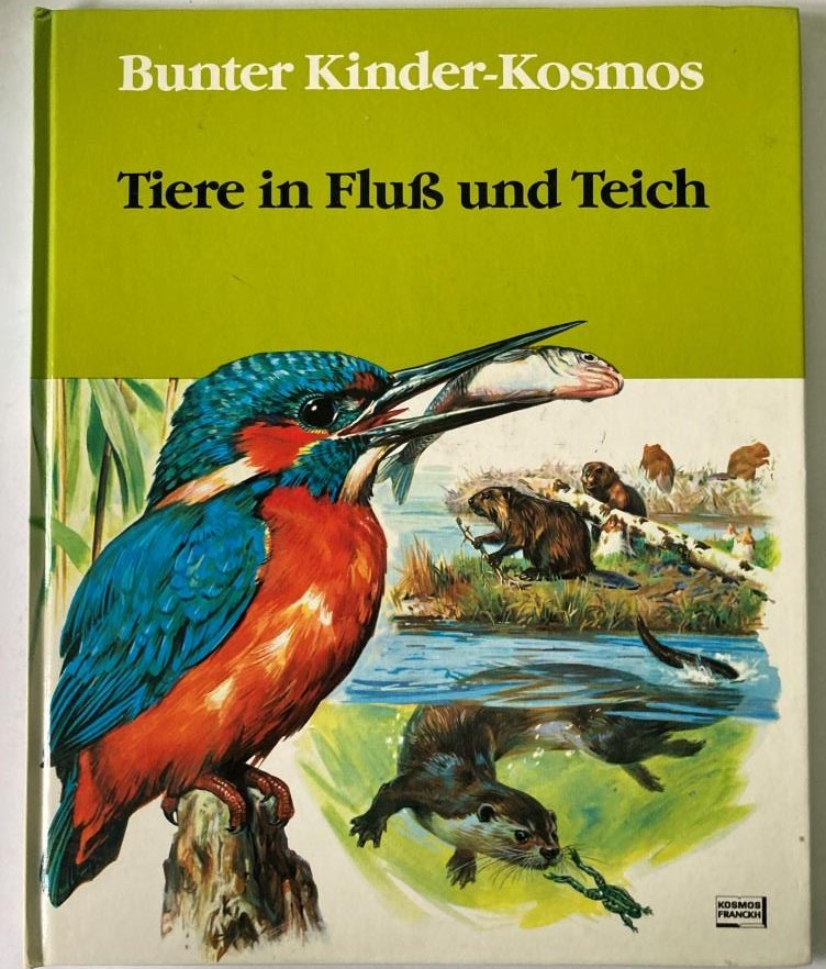 D'Ami, Rinaldo D./Unterreiner, Ingeborg  Bunter Kinder-Kosmos: Tiere in Fluss und Teich 