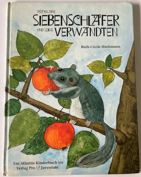 Hürlimann, Ruth-Cécile  Der kleine Siebenschläfer und seine Verwandten 