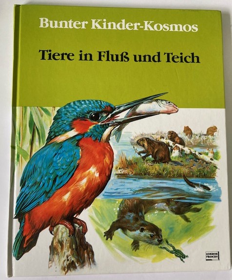 D'Ami, Rinaldo D./Unterreiner, Ingeborg  Tiere in Fluss und Teich 