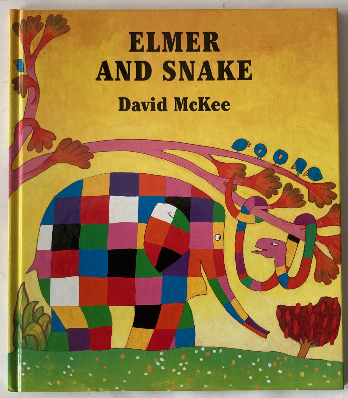 David McKee  Elmer  and Snake 