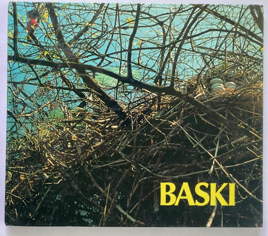 Martin Hächler (Text)/Heinrich Gohl (Fotos)  Baski 8 - Auf der Vogelinsel 