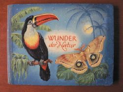 Siegfried Sorge/Herbert Schreier/Rudolf Engel-Hardt (Illustr.)  Wunder der Natur. Ein pdagogisches Bildbuch 