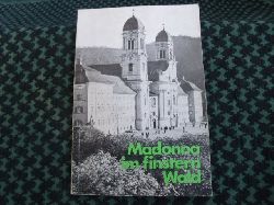 Lthold-Minder, Ida  Madonna im Finstern Wald  Aus der Wallfahrtsgeschichte Unserer Lieben Frau von Einsiedeln 