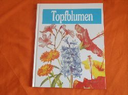   Topfblumen 