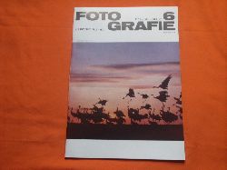   Fotografie. Juni 1978, Heft 6. 