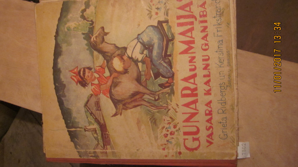 Ridbergs  Frikstrands  Gunara un Majias Vasara Kalnu Ganibas (lettisches Kinderbuch) 