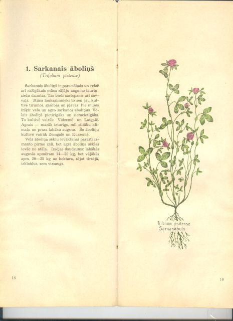 .  Latvijas Centralais Seklu Eksports 1939  Gada Pavasara Cenu Raditajs Nr. 9  (Lettische Zentrale Samen Export  Aktiengesellschaft Preisliste Frühjahr 1939) 