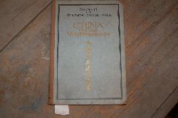 Shen Yi Stadelmann  China und sein Weltprogramm 