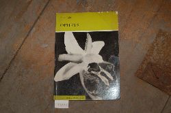 Fller Fritz  Ophrys 