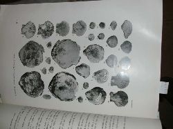 Yabe H.  Ein neuer Ammonitenfund aus der Trigoniasandstein Gruppe von Provinz Tosa 