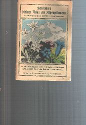 Dr. Carl Maisch  Schreibers kleiner Atlas der Alpenpflanzen 