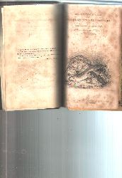 William Swainson  The Natural History and Classsifacation of Fishes, Amphibians, and Reptils  or Monocardian Animals  Vol. 1 