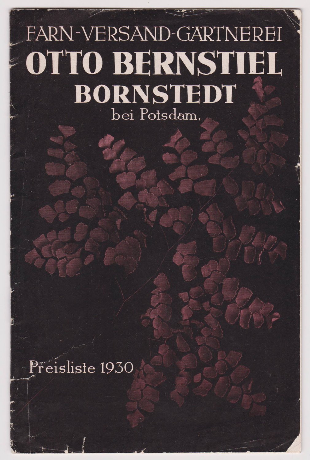 BERNSTIEL, Otto:  Farn-Versand-Gärtnerei (Farnversandgärtnerei) Otto Bernstiel, Bornstedt bei Potsdam. Preisliste 1930. 