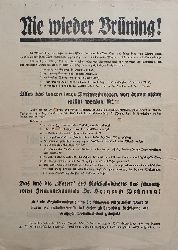 SCHMUCK, Werner (Herausgeber):  Nie wieder Brning! Original-Wahlwerbung der NSDAP fr die Reichstagswahl am 31. Juli 1932. 